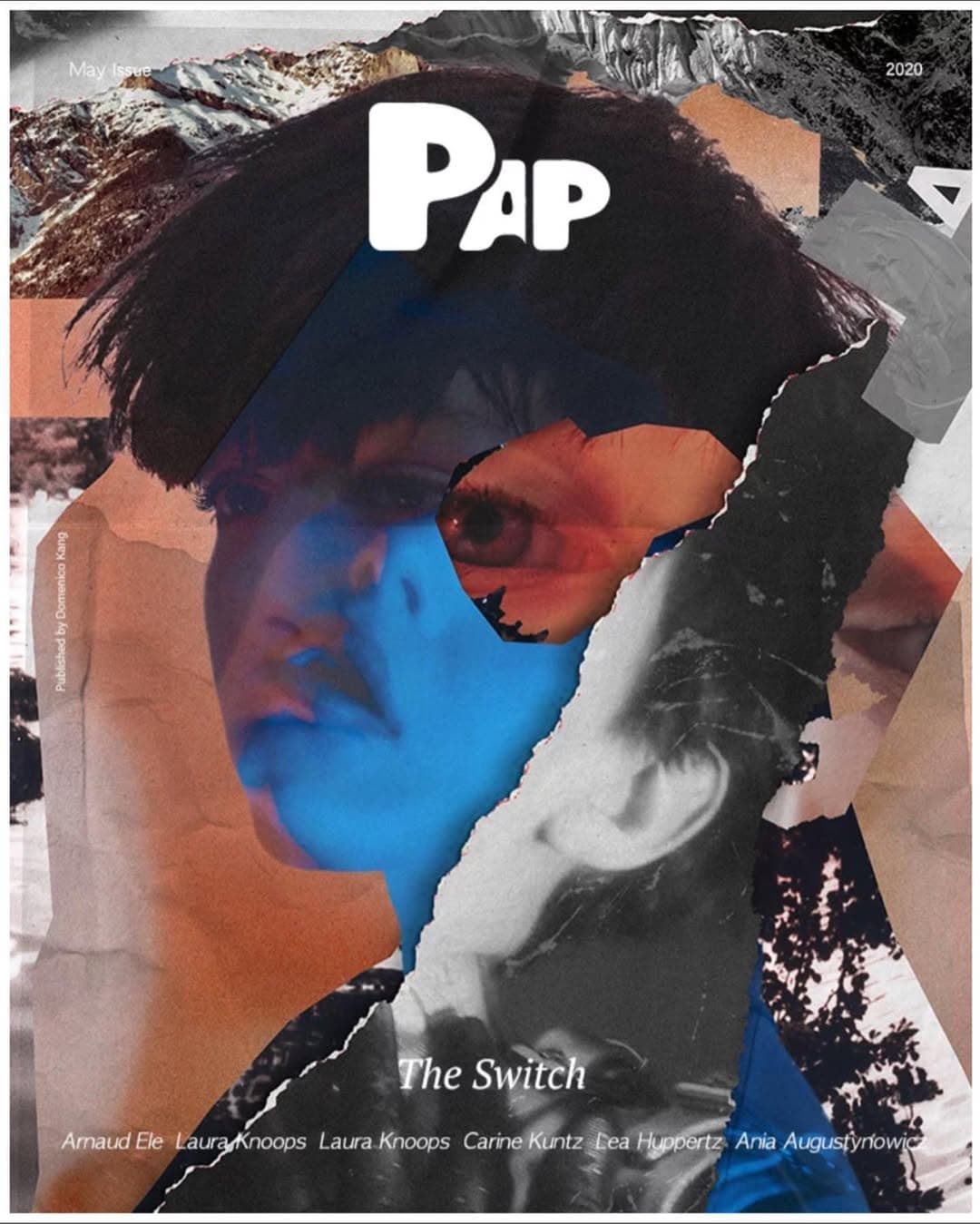 THE SWITCH @pap_magazine